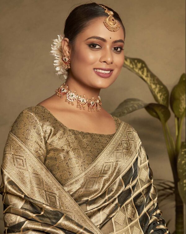 SAREE MALL Geometric Woven Saree